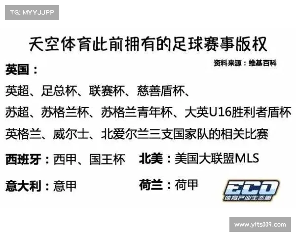 英超联赛加强安保措施保障球迷安全与赛事秩序的多维策略分析 英超联赛加强安保措施保障球迷安全与赛事秩序的多维策略分析